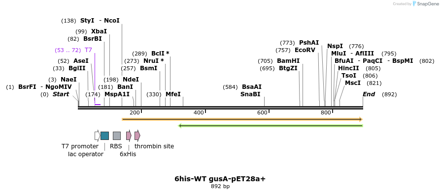 101967_map