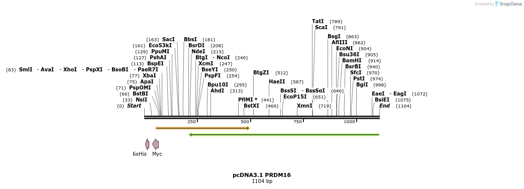101969_map