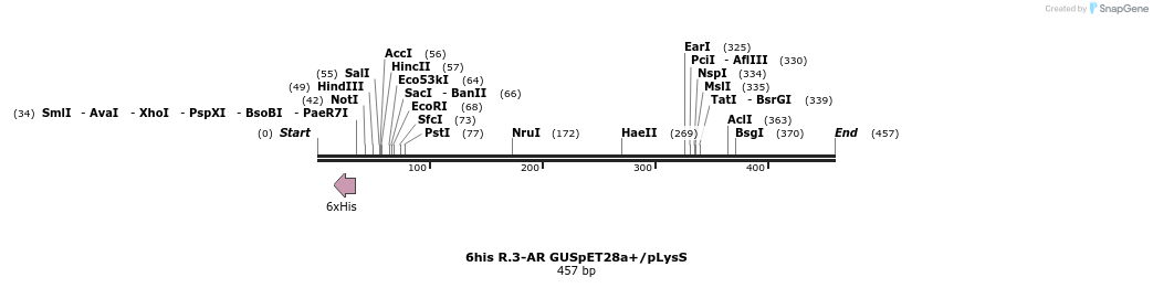 101971_map
