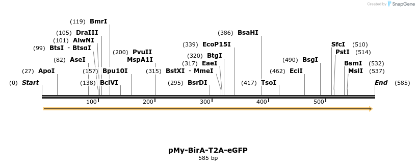101974_map