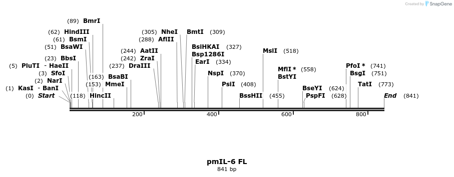 101976_map