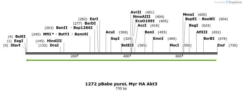 101977_map