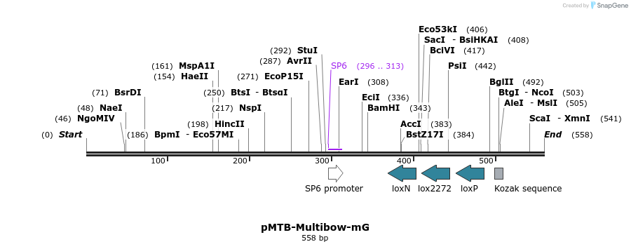 101983_map