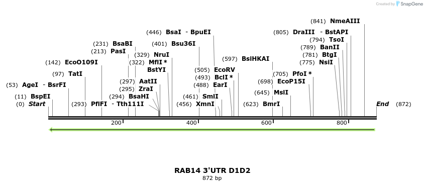 101990_map