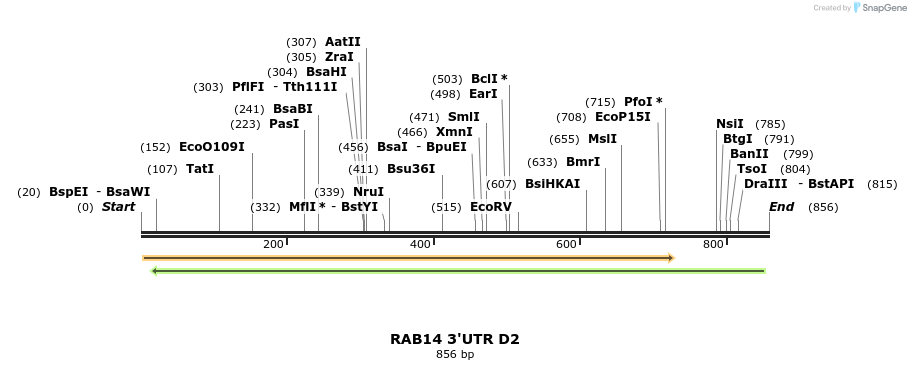 101991_map