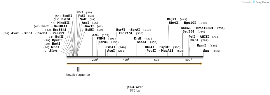 101998_map