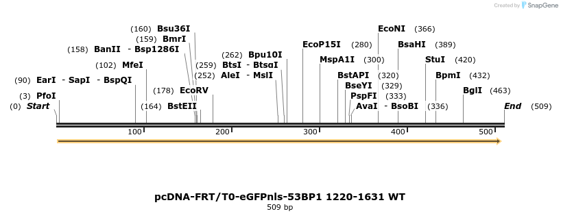 102001_map