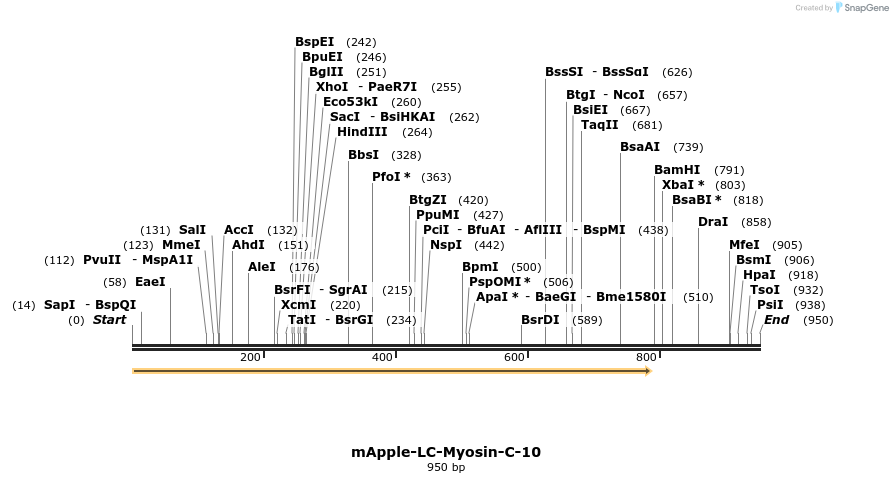 102002_map