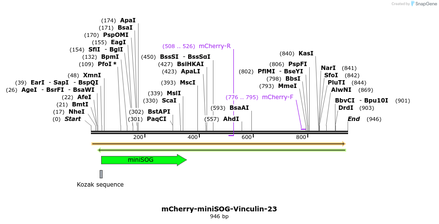 102003_map
