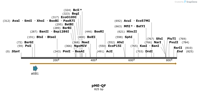 102010_map