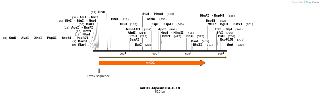 102019_map