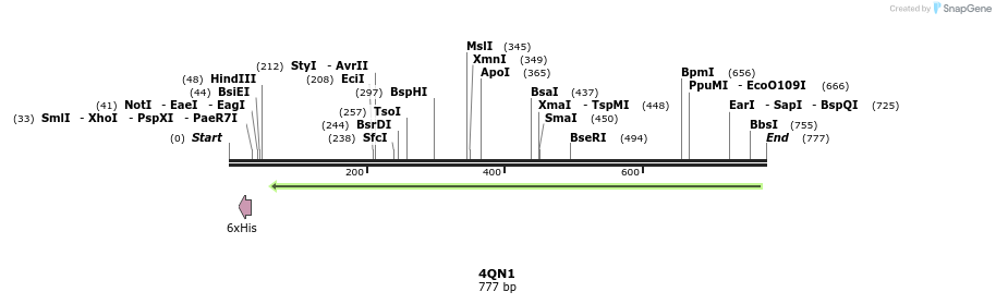 102031_map