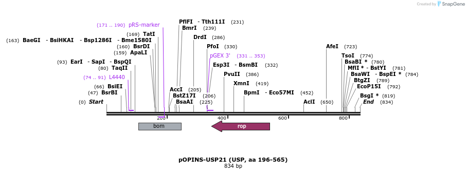 102032_map
