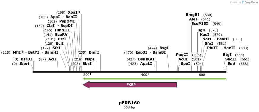 102037_map