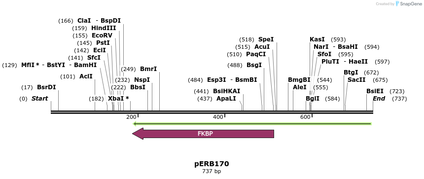 102038_map