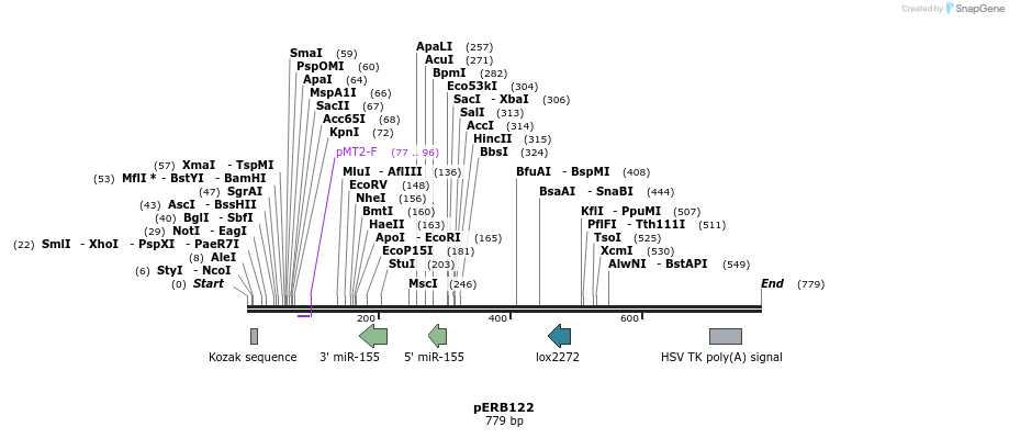 102040_map