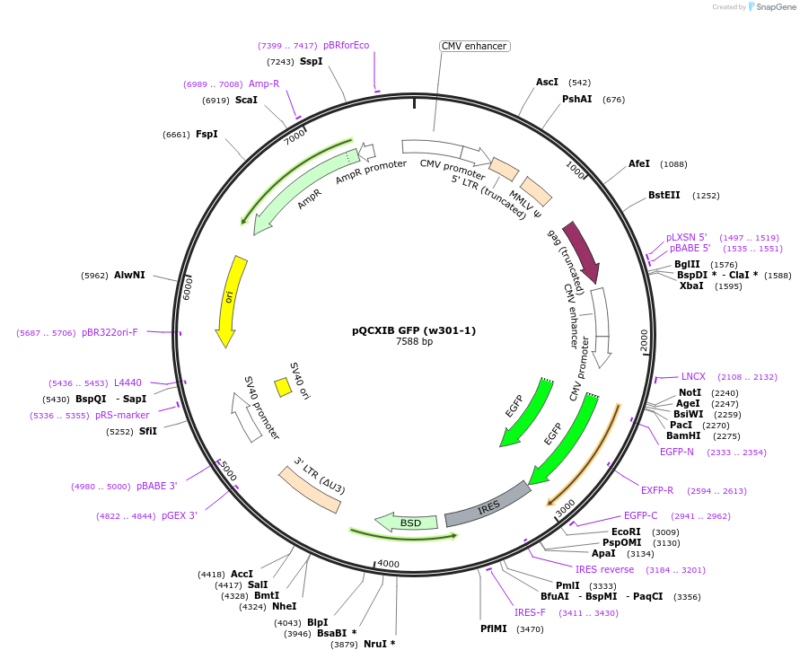 10206_map
