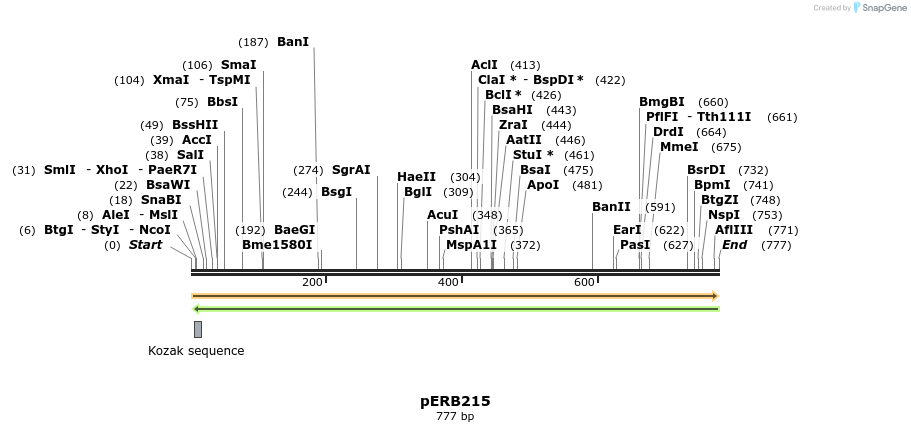 102063_map