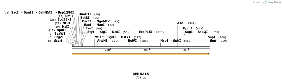 102064_map