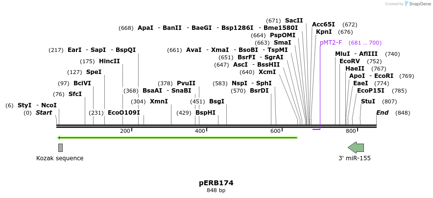 102065_map