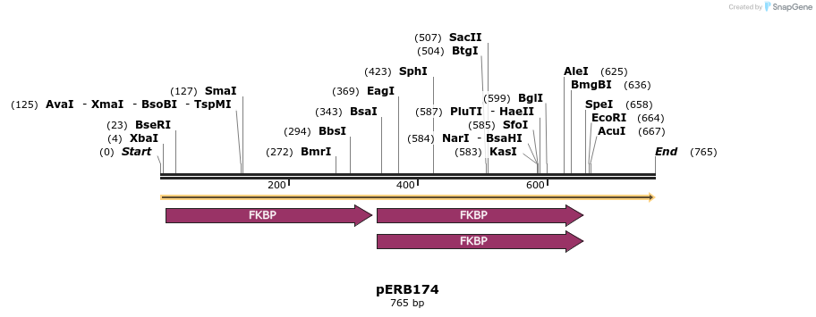 102066_map