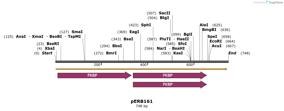 102068_map