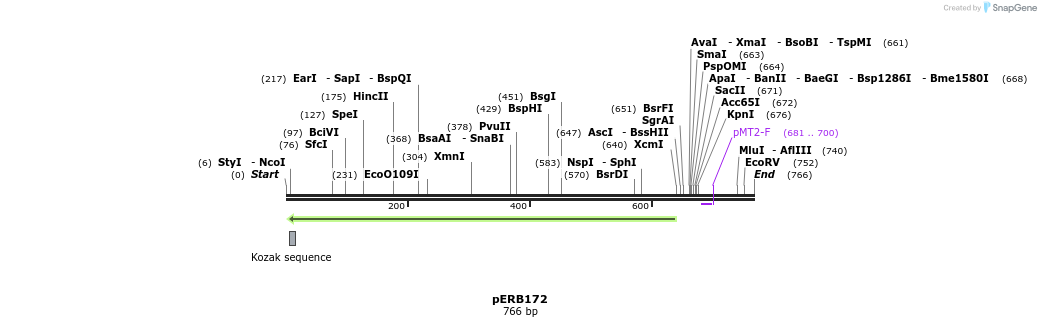 102069_map