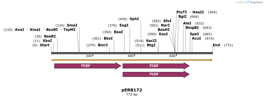 102070_map