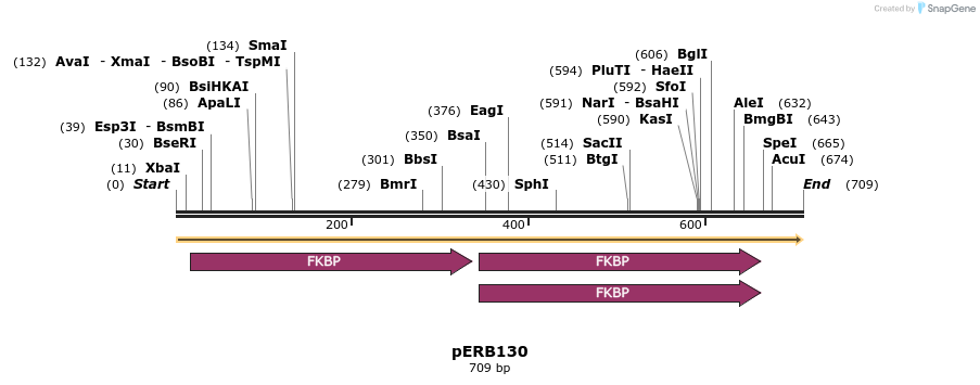 102077_map