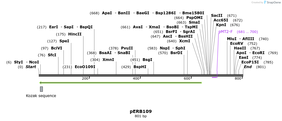 102078_map
