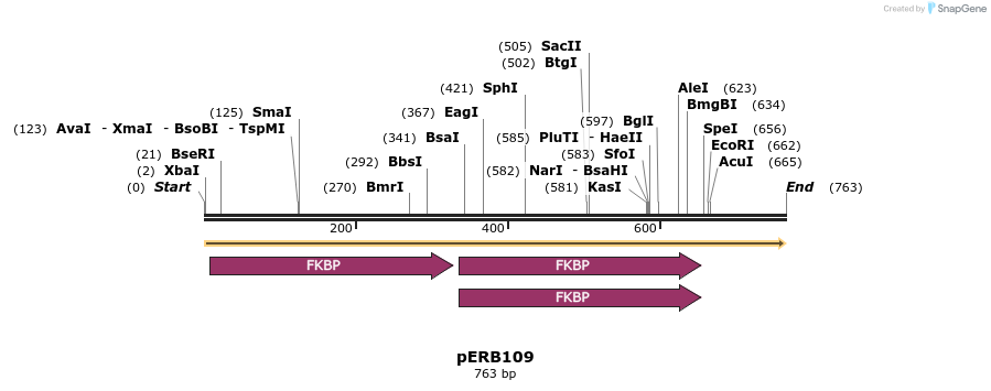 102080_map