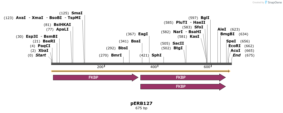 102081_map
