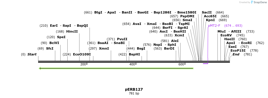102082_map