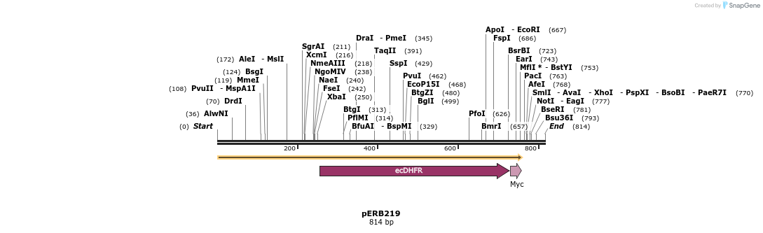 102084_map
