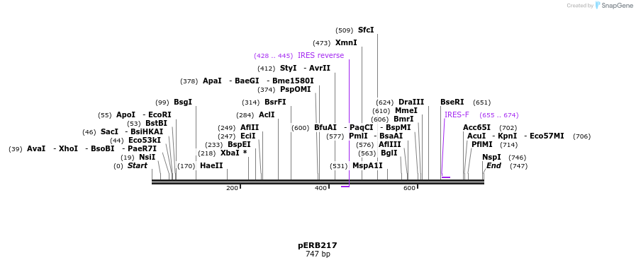 102087_map