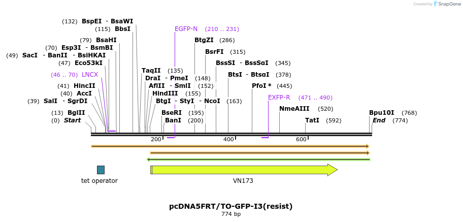 102089_map