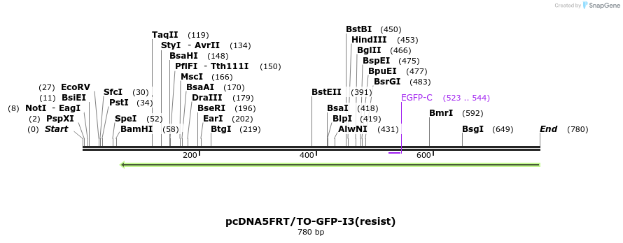 102090_map