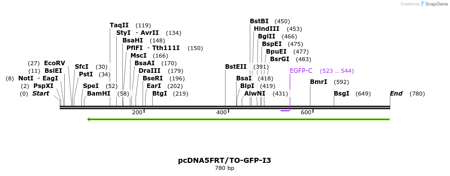 102092_map