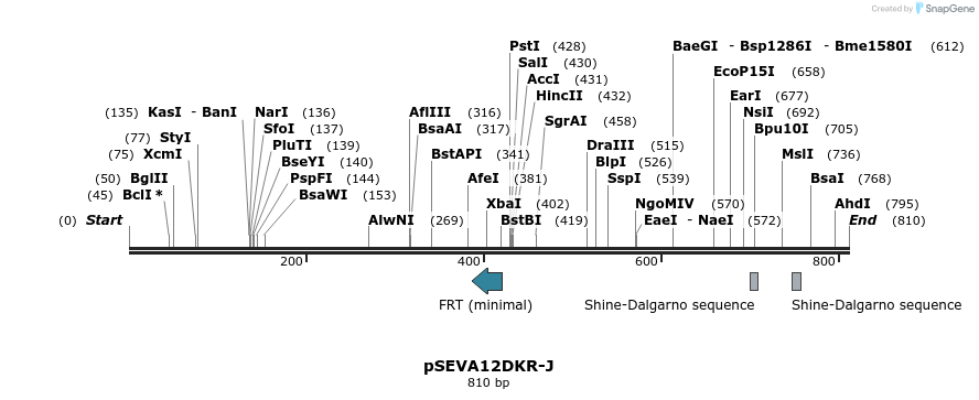 102093_map