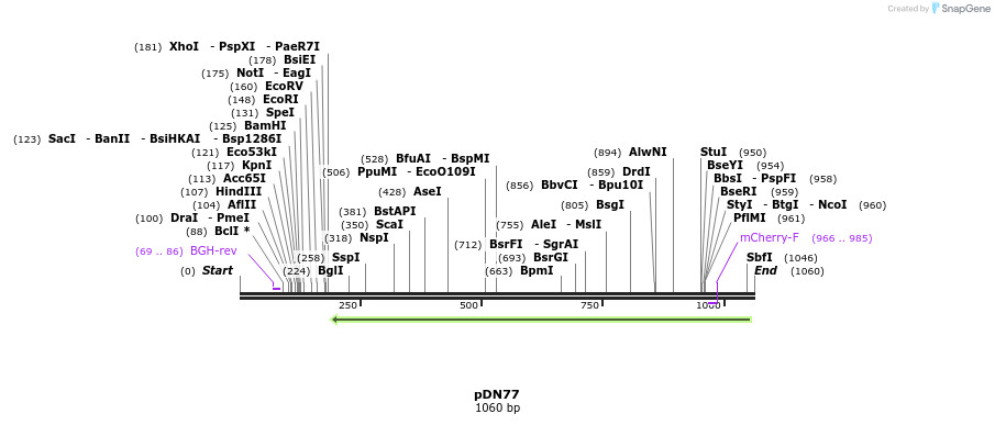 102094_map