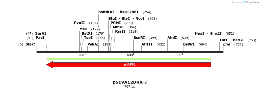102096_map
