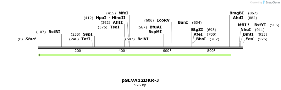 102097_map