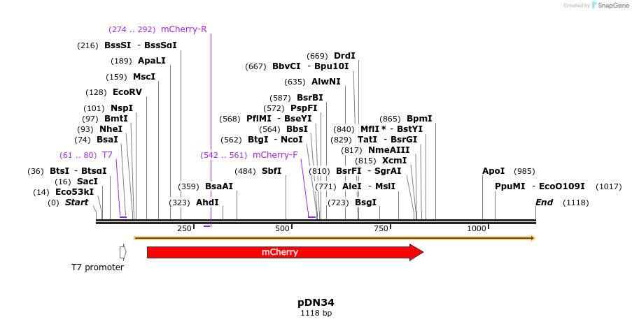 102098_map