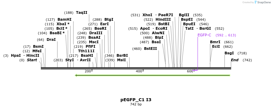 102102_map