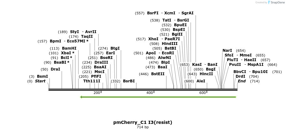 102104_map