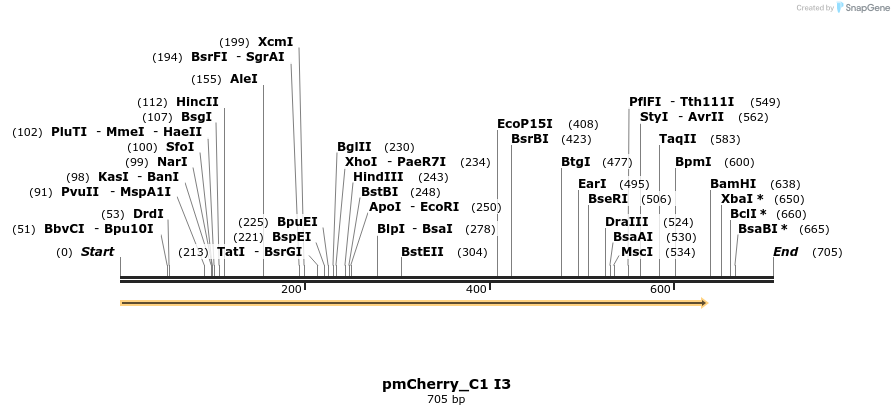 102106_map