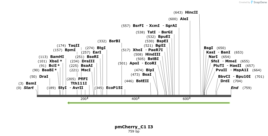 102107_map