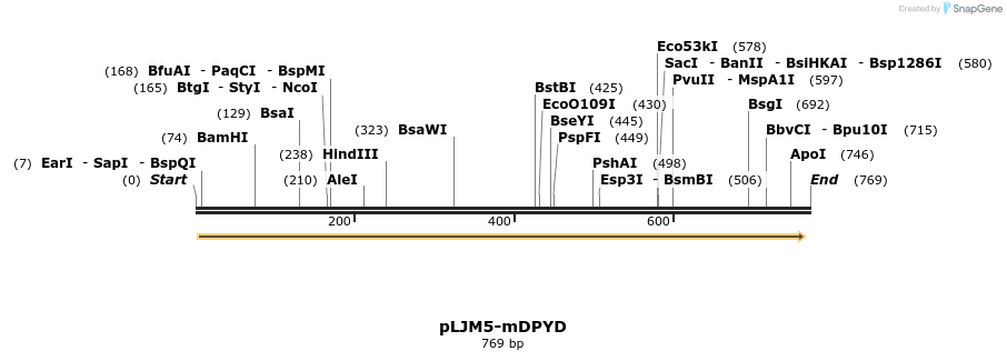 102110_map