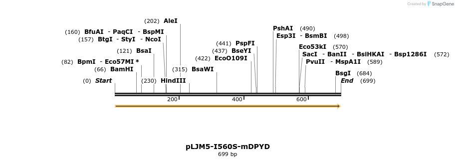 102111_map
