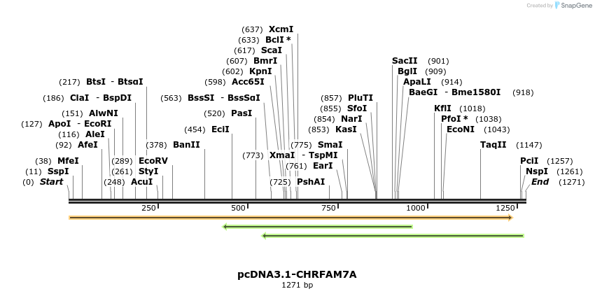 102118_map